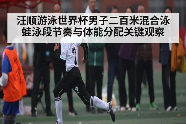 汪顺游泳世界杯男子二百米混合泳蛙泳段节奏与体能分配关键观察