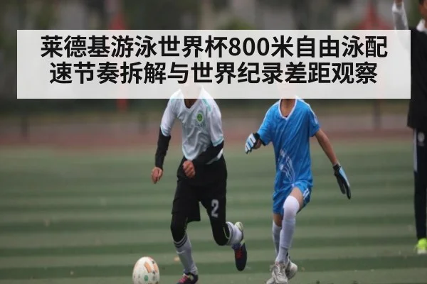 莱德基游泳世界杯800米自由泳配速节奏拆解与世界纪录差距观察